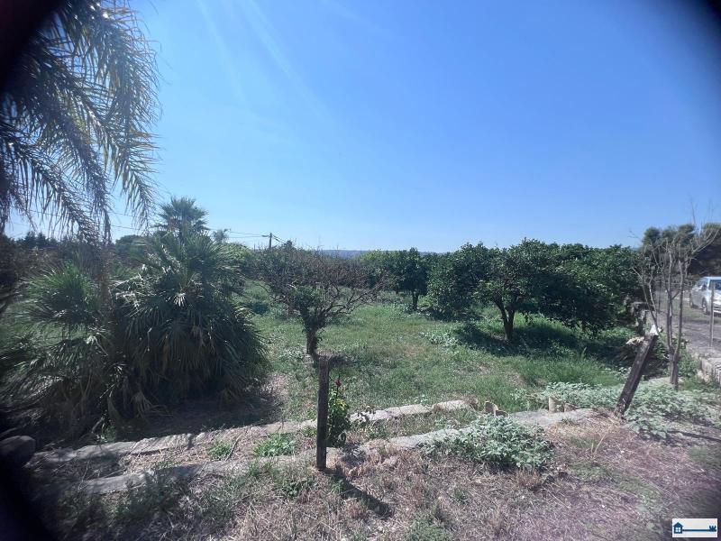 Immagine WhatsApp 2025-07-23 ore 17.39.12_30d90870.jpg